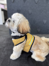 Load image into Gallery viewer, Dog Coat