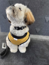 Load image into Gallery viewer, Dog Coat