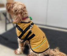 Load image into Gallery viewer, Dog Coat